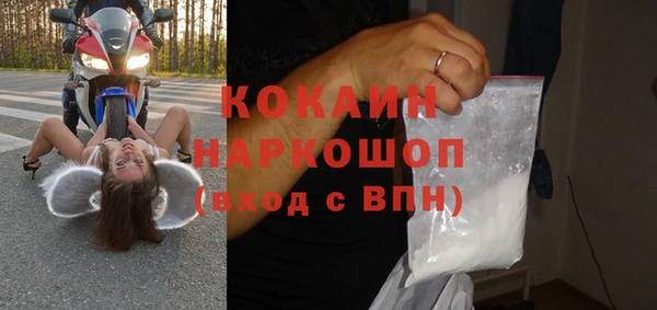 шишки Белоозёрский