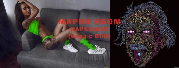 шишки Белоозёрский
