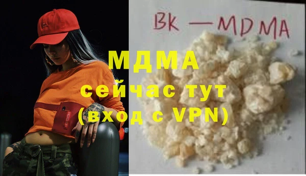 шишки Белоозёрский