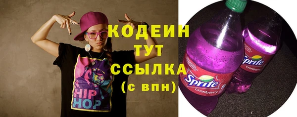 шишки Белоозёрский