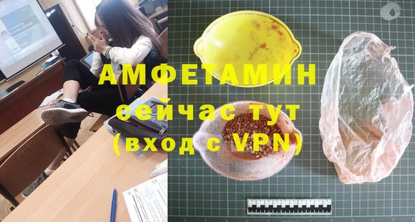 шишки Белоозёрский