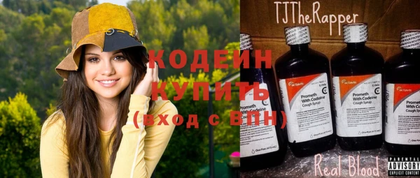 шишки Белоозёрский