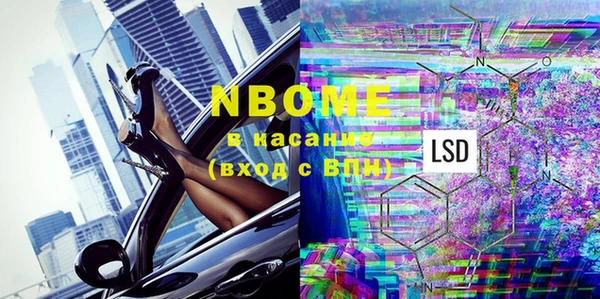 шишки Белоозёрский