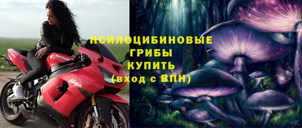 шишки Белоозёрский