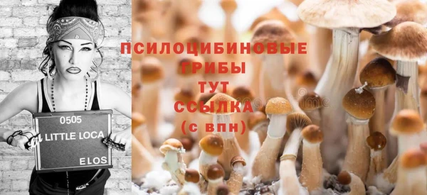 бутират Белокуриха