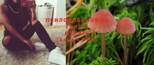 бутират Белокуриха